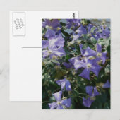 Carte Postale Violet (Devant / Derrière)