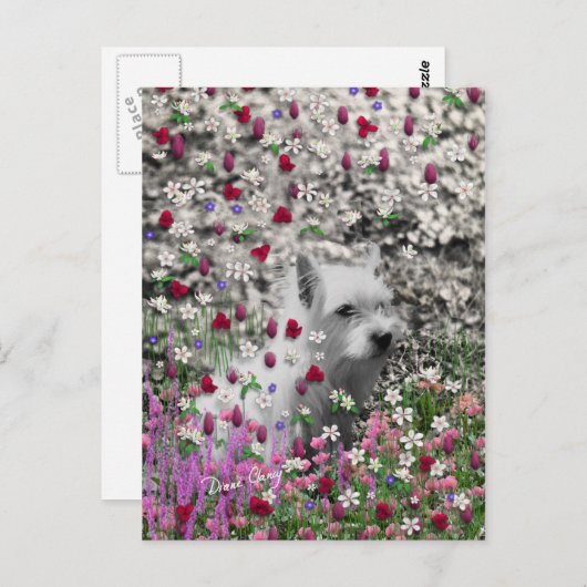 Carte Postale Violet en Fleurs - Chien blanc Westie (Devant / Derrière)