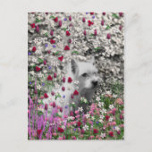 Carte Postale Violet en Fleurs - Chien blanc Westie (Devant)