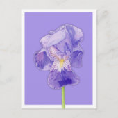 Carte Postale violet Iris (Devant)