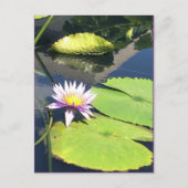 Carte postale violet jaune (Devant)