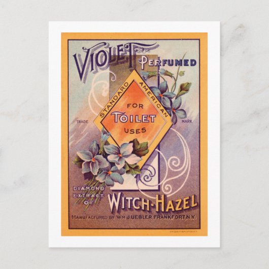 Carte Postale Violet parfumé - 1903 (Devant)