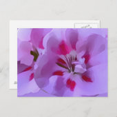 Carte Postale Violet rose Abstrait Hibiscus Fleur (Devant / Derrière)