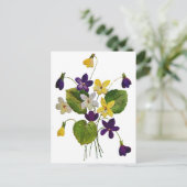 Carte Postale Violets blancs, jaunes et violets brodés (Debout devant)