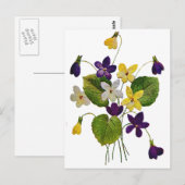 Carte Postale Violets blancs, jaunes et violets brodés (Devant / Derrière)