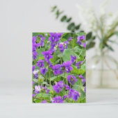 Carte Postale Violets en bois du Wisconsin - Customisés (Debout devant)