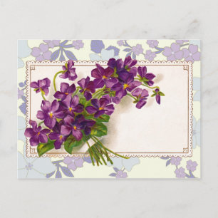 Carte Postale Violets pour toute occasion - Ajoutez vos propres 