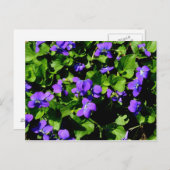 Carte postale violette (Devant / Derrière)