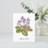 Carte Postale Violette africaine Curtis Botanical (Debout devant)