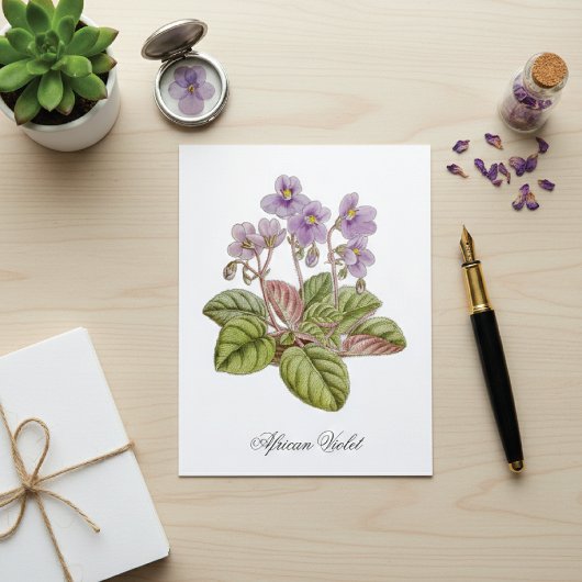 Carte Postale Violette africaine Curtis Botanical