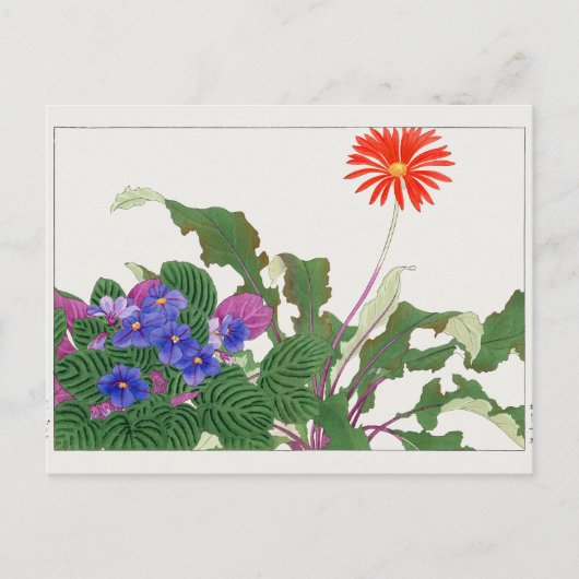 Carte Postale Violette africaine, Gerbera par Tanigami Konan (Devant)