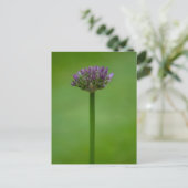 Carte postale violette Allium Flower (Debout devant)