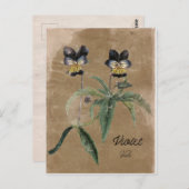 Carte postale violette de style vintage (Devant / Derrière)