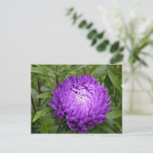 Carte postale violette - MS JOH 2011 (Debout devant)
