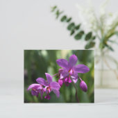 Carte postale violette orchidée (Debout devant)
