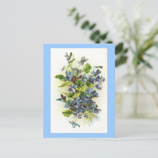 Carte Postale violettes (Debout devant)