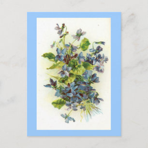 Carte Postale violettes