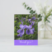 Carte Postale violettes (Debout devant)