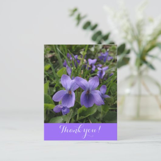 Carte Postale violettes (Debout devant)