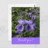 Carte Postale violettes (Devant / Derrière)