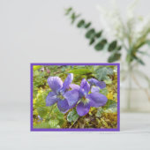 carte postale violettes (Debout devant)