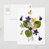 Carte Postale Violettes sauvages agressées faites dans la broder (Devant / Derrière)