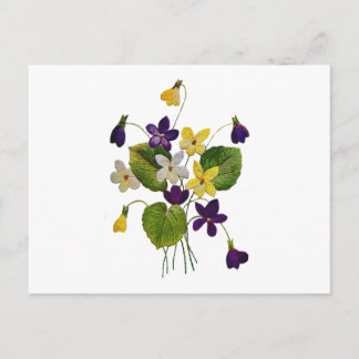 Carte Postale Violettes sauvages agressées faites dans la broder