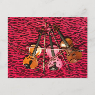 Carte Postale Violon Cadeaux photo