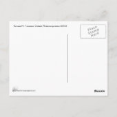 Carte Postale Violoniste (Dos)