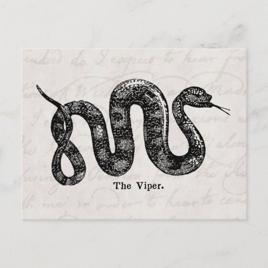 Carte Postale Viper Snake Antique Snakes Viper Viper Viper Viper (Devant)
