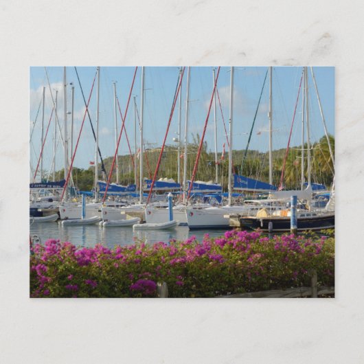 Carte Postale Virgin Gorda (Devant)