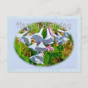 Carte Postale Virginia Bluebells Joyeux Anniversaire Coordonné