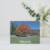 CARTE POSTALE VIRGINIE (Debout devant)