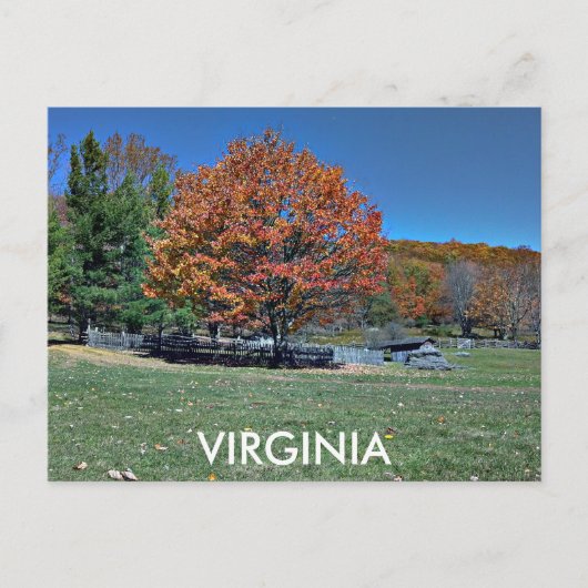 CARTE POSTALE VIRGINIE (Devant)