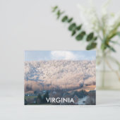 CARTE POSTALE VIRGINIE (Debout devant)