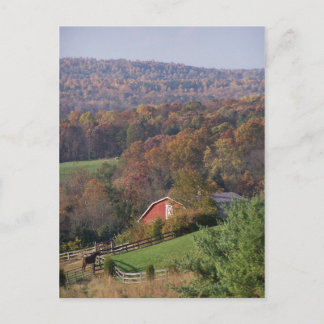 Carte Postale Virginie à l'automne