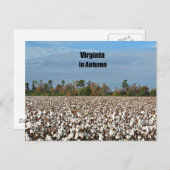 Carte Postale Virginie en automne (Devant / Derrière)