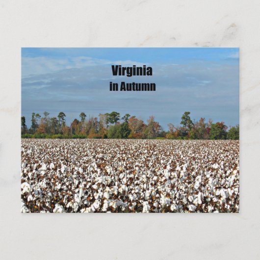 Carte Postale Virginie en automne (Devant)