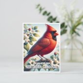 Carte Postale Virginie State Bird Northern Cardinal (Debout devant)