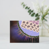 Carte Postale Virus Herpes (Debout devant)