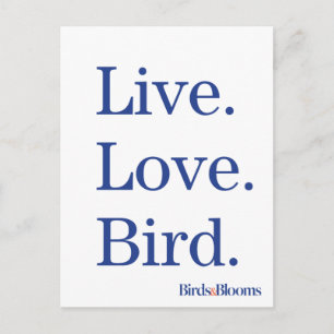 Carte Postale Vis. Amour. Oiseau.