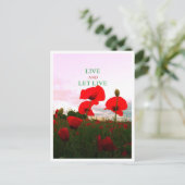 Carte Postale Vis et laisse vivre (Debout devant)