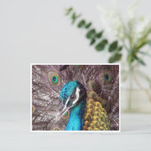 Carte Postale visage bleu paon (Debout devant)