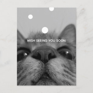 Carte postale Visage Chat Noir&Blanc
