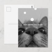 Carte postale Visage Chat Noir&Blanc (Devant / Derrière)