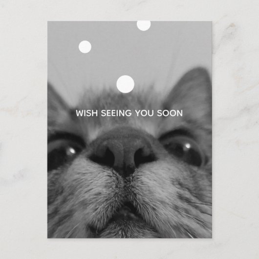Carte postale Visage Chat Noir&Blanc (Devant)