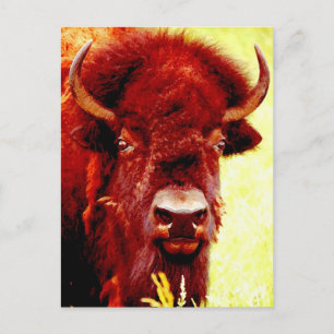 Carte Postale Visage de bison/buffle