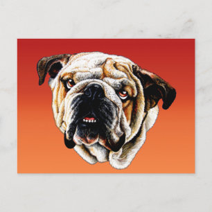 Carte Postale Visage de Bulldog Peint