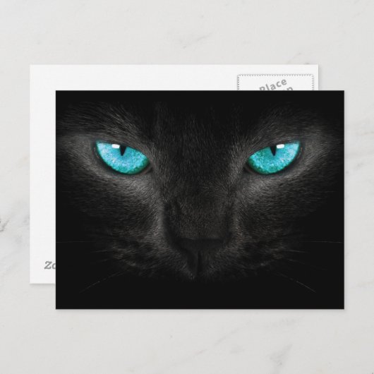 Carte Postale Visage de chat noir aux yeux Turquoise (Devant / Derrière)
