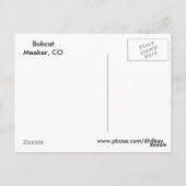 Carte Postale Visage de chat sauvage (Dos)